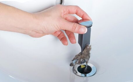 Unblocking Drains Public Restrooms